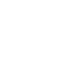 Internal AI Assistants