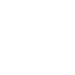 AI Voice Agent – VAPI